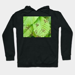 Wild Grass on Leaves Hoodie